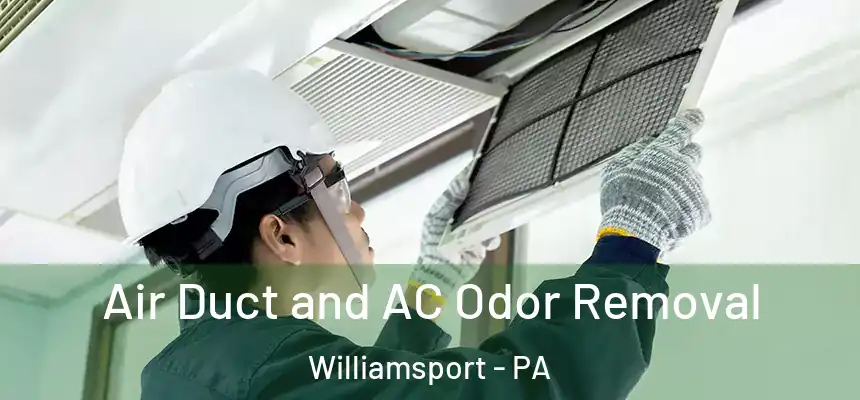  Air Duct and AC Odor Removal Williamsport - PA
