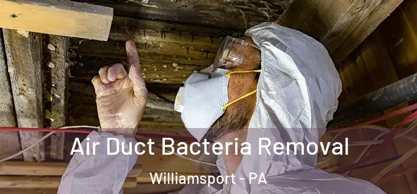  Air Duct Bacteria Removal Williamsport - PA