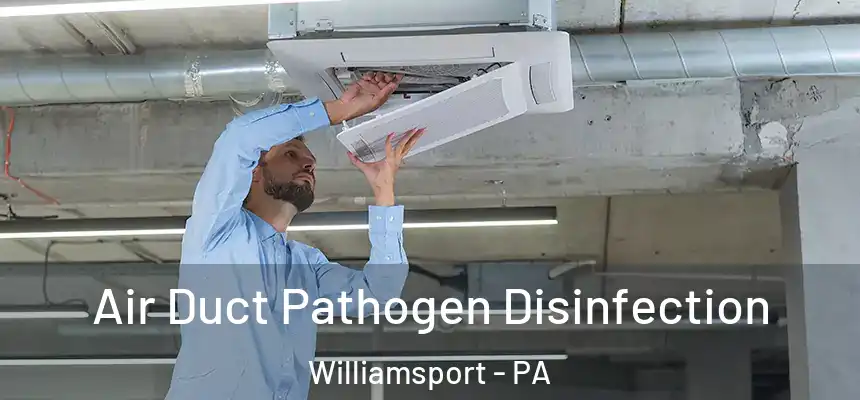  Air Duct Pathogen Disinfection Williamsport - PA