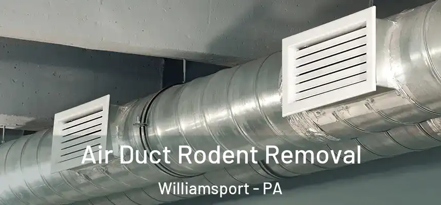  Air Duct Rodent Removal Williamsport - PA