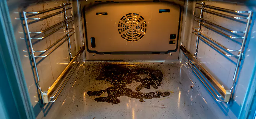 Our Dryer Vent Mold Cleaning Services in Williamsport, PA