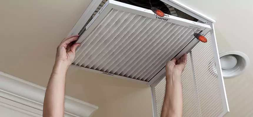 Our Insect Removal from Air Ducts Services in Williamsport, PA