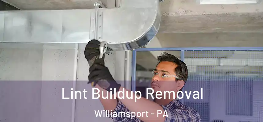  Lint Buildup Removal Williamsport - PA