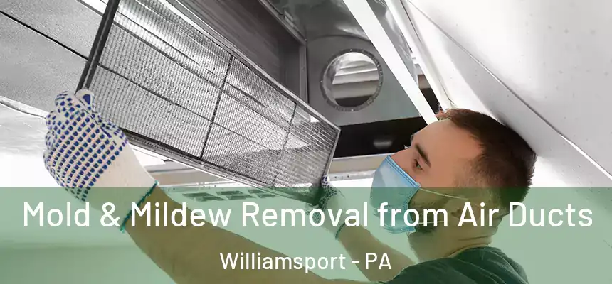  Mold & Mildew Removal from Air Ducts Williamsport - PA
