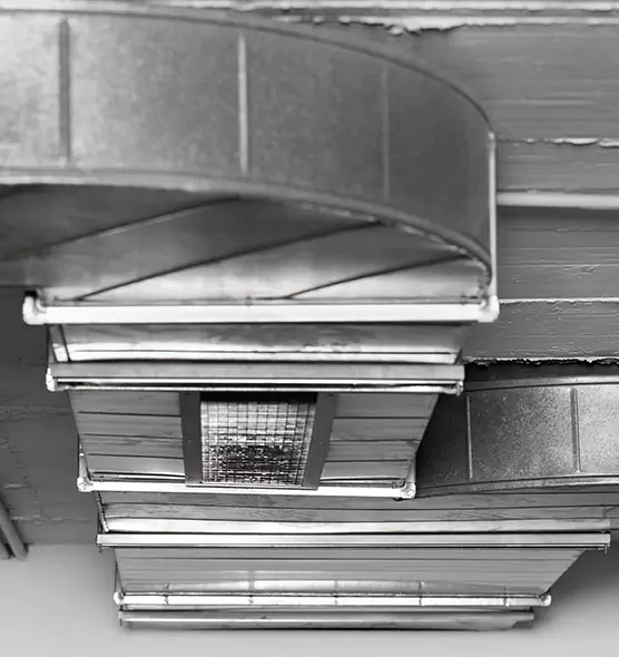 Professional Air Duct Pest Removal in Williamsport, PA