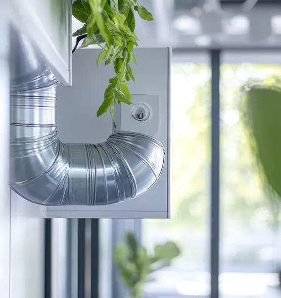 Professional Eco-Friendly Duct Cleaning Services in Williamsport, PA