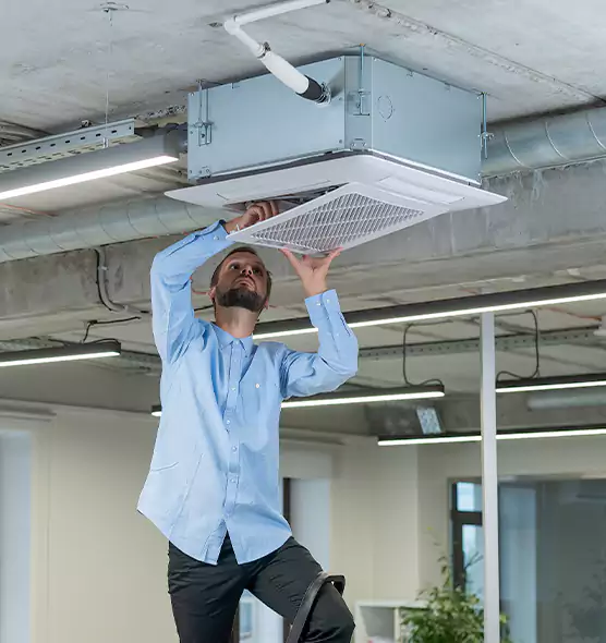 Advanced Rodent Droppings In Vents in Williamsport, PA