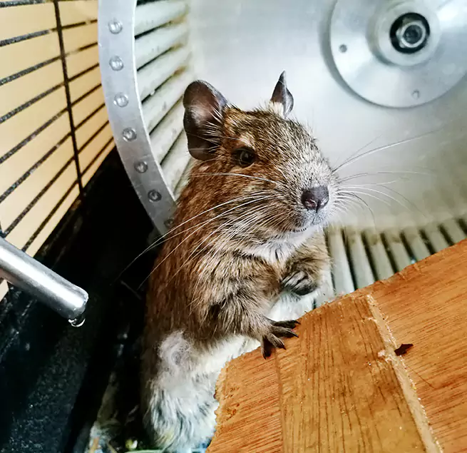 Why Homeowners & Businesses Trust Us Williamsport, PA